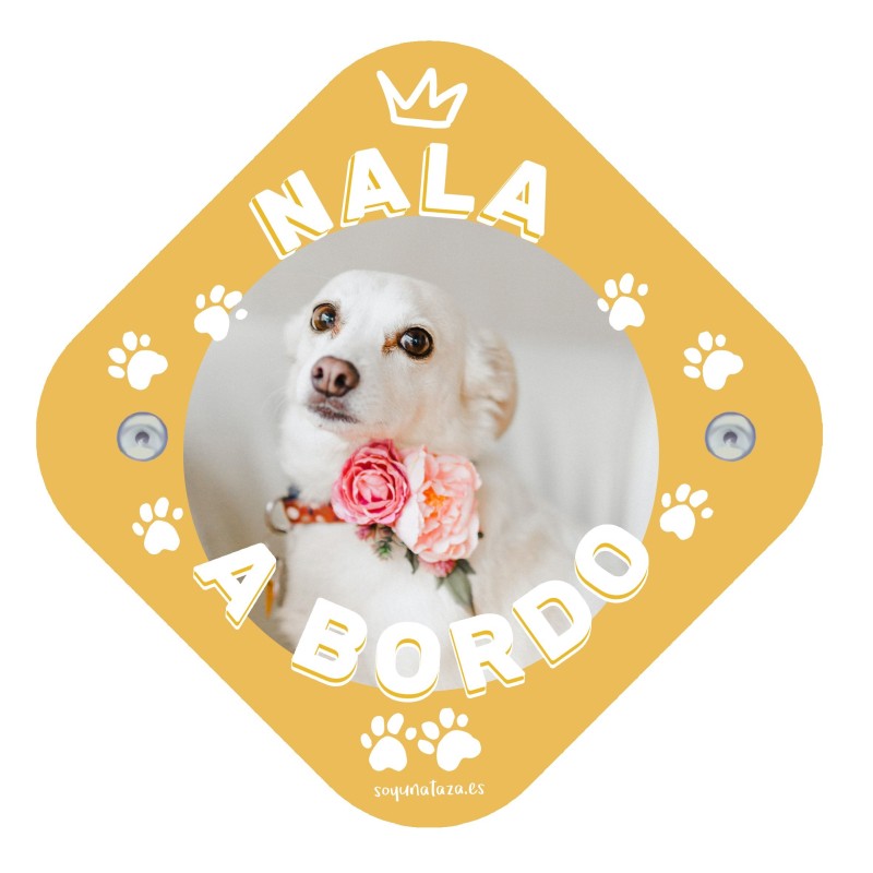 Cartel "Foto mascota"